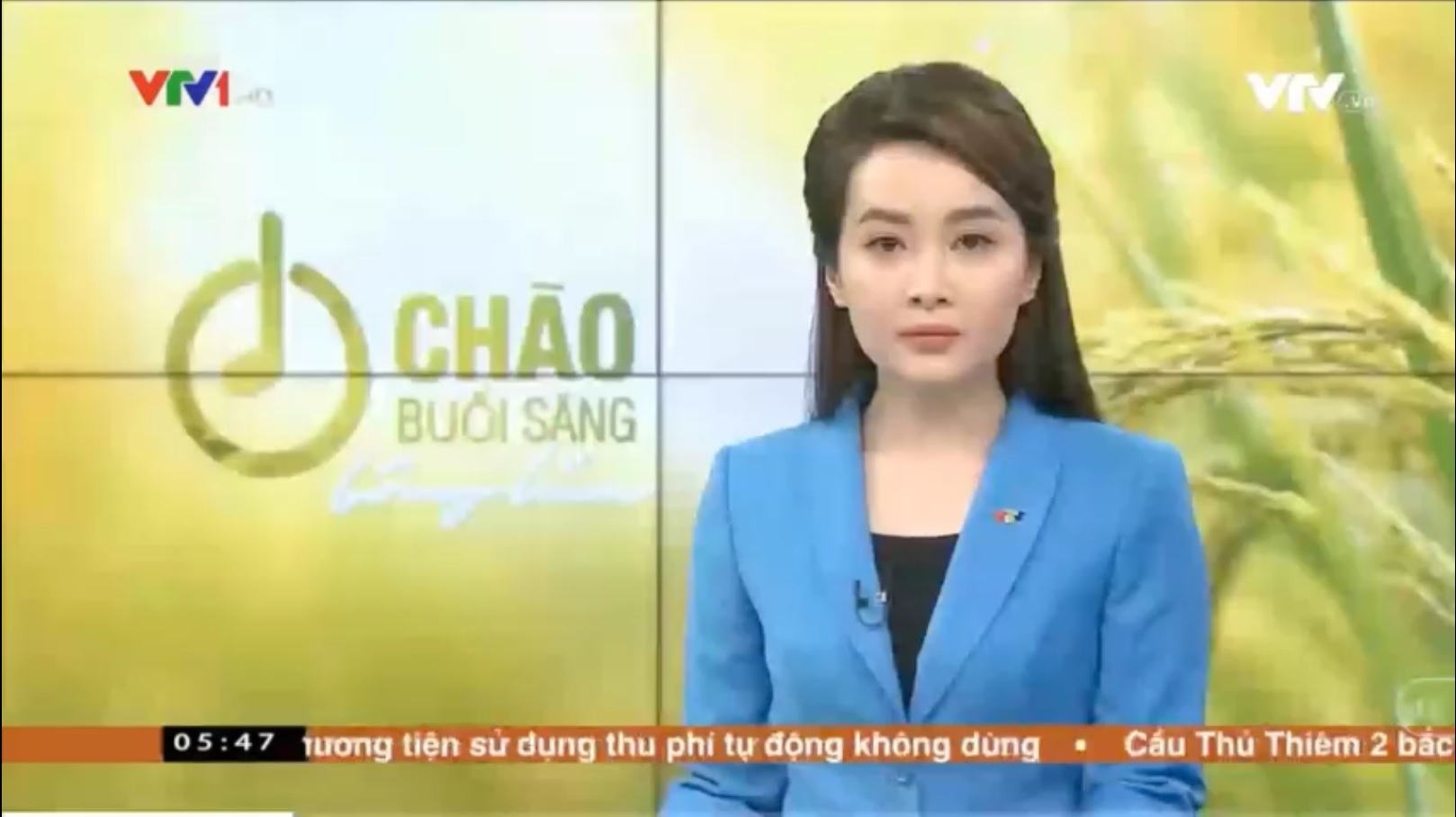 Vắc xin dịch tả lợn châu phi của công ty AVAC Việt Nam